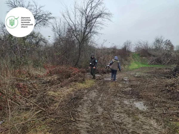 На Волині у річку виливають стічні води з місцевих полів (фото)