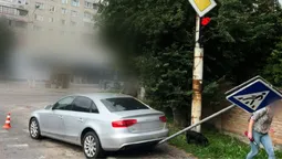 У Луцьку водійка потрощила знак «зебри» (фото)