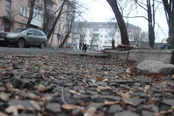 Комунальники перерили луцький двір, а місто не хоче його ремонтувати (фото)