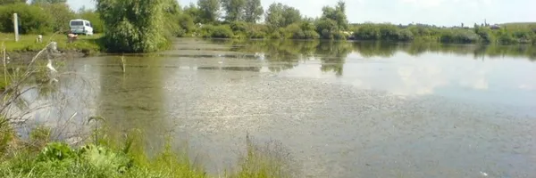 Топ-5 місць для риболовлі біля Луцька