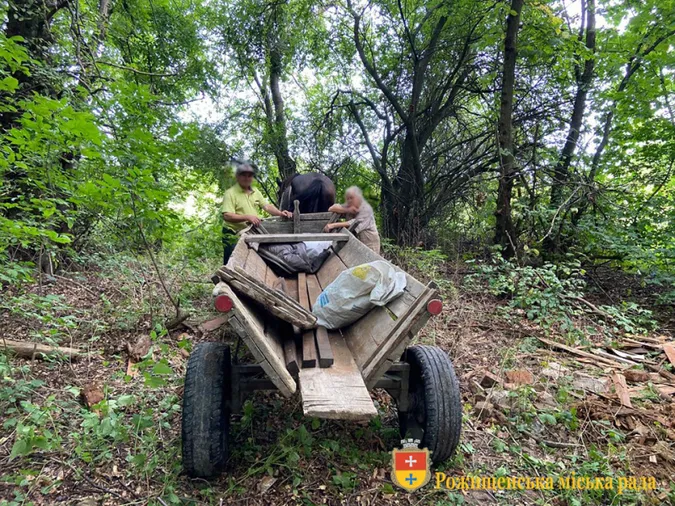 Не знали, куди дівати: у Рожищі вивезли сміття в лісосмугу (фотофакт)