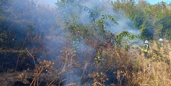 У Луцькому районі горіло пів гектара сухої трави (фото)