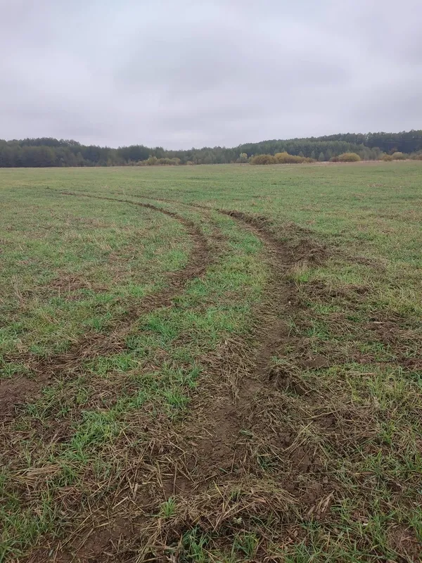 На Волині любителі дрифту нищать засіяні поля: фермери звернулися до поліції (фото)