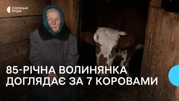 «Люблю коло них ходити»: 85-річна волинянка доглядає за сімома коровами (відео)
