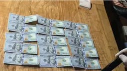 4 500 доларів: на Волині голову сільради і підприємця взяли на хабарі (фото)