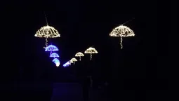 У луцькому парку світитимуться парасольки (фото) 