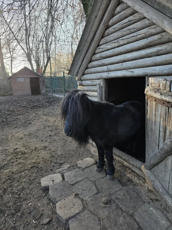 Все цвіте і пахне: лучан кличуть на відвідини в зоопарк (фото)
