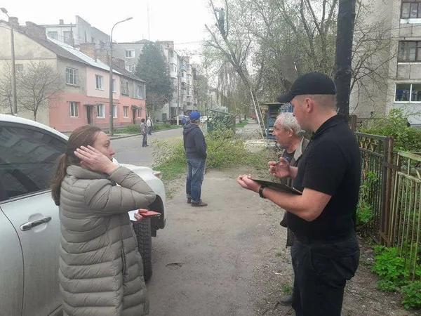У Луцьку незаконно обрізали дерева: буде штраф (фото)