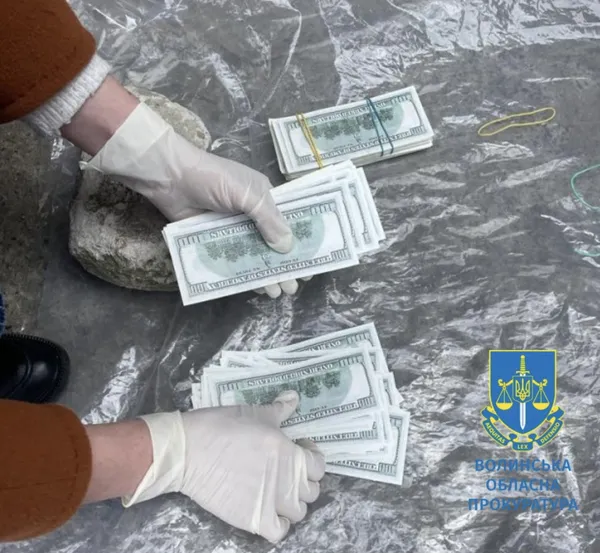 У Луцьку судитимуть жінку, яка продала дитину подруги за $30 000 (фото)