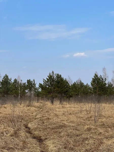 На Волині знайшли унікальну екосистему (фото)
