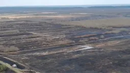 На Волині палає величезне торфовище (відео)