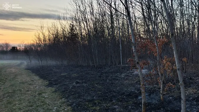 Стовпи вогню – гігантські: Волинь охопили масові пожежі (фото)