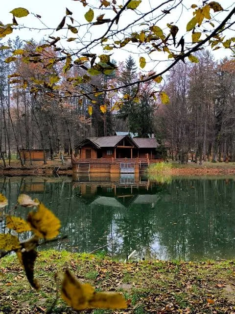 Ботанічний заказник «Воротнів»