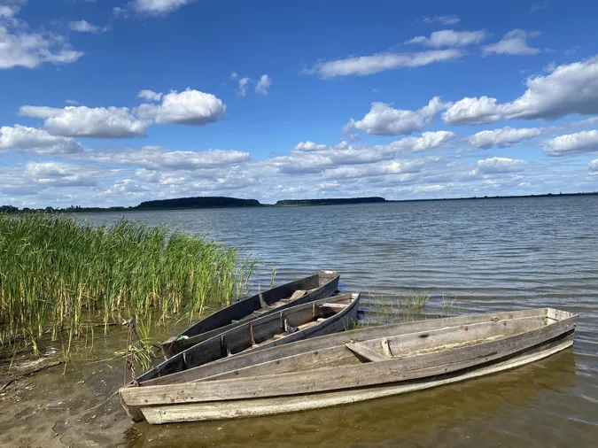 Прозора вода під безкраїм небом: показали краєвиди озера на Волині (фото)