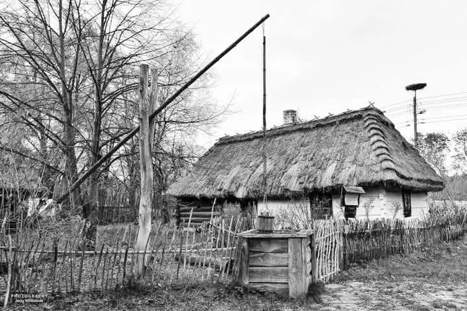 Журавлі приносили воду: як у селах Полісся вигадали втамувати спрагу (фото)