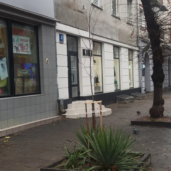 Парки, сквери, вулиці: у Луцькій громаді восени висадили 254 дерева та 285 кущів (фото)