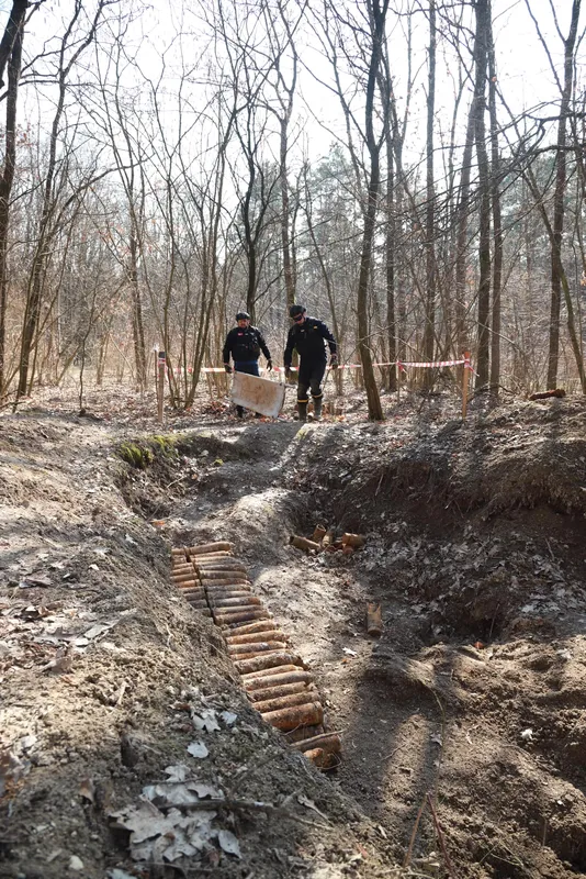 Поблизу села на Волині, де на смерть підірвалися троє людей, знайшли 167 боєприпасів (фото)