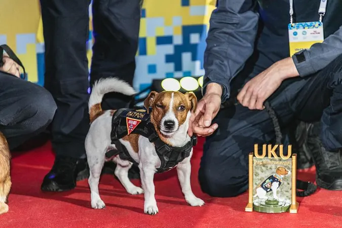 Знайшов 300 вибухових пристроїв: Пес Патрон отримав відзнаку «Чотирилапий захисник» (фото)