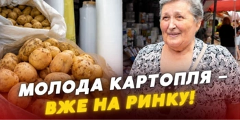 Молода картопля на луцьких ринках: які ціни і звідки везуть сезонний овоч (відео)