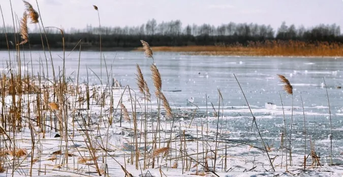 Підвищення води в річках на заході України: чи варто очікувати повінь