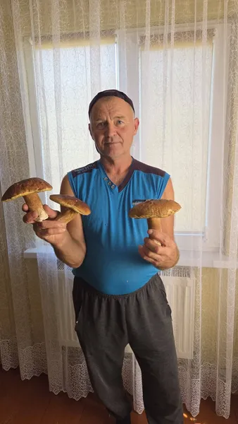 Ви не повірите очам: у лісі на Волині знайшли величезні боровики (фото)