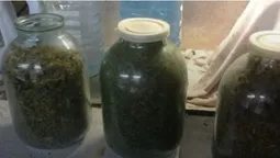 Зберігав у банках: у волинянина знайшли 10 кілограмів марихуани (фото)