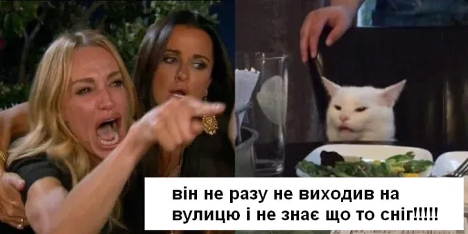 Вхурделило: як соцмережі жартують про погоду