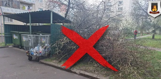 У Луцьку покарали жінку через гілля біля смітників (фото)