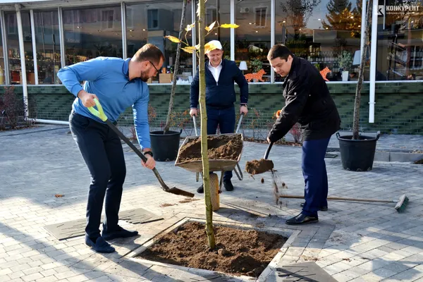 У Луцьку озеленили сквер біля «Бенедикту» (фото)