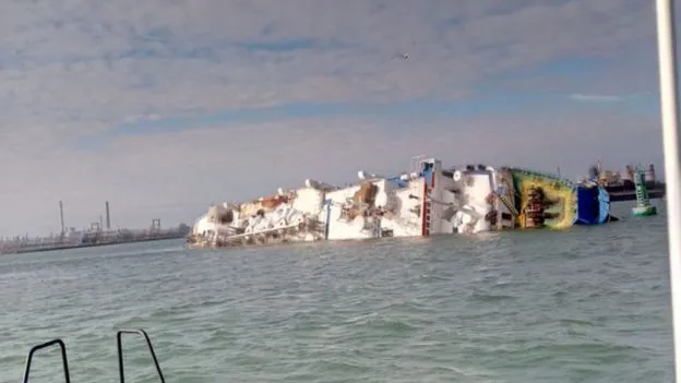 У Чорному морі перекинулося судно, яке перевозило 14 тисяч овець (фото)