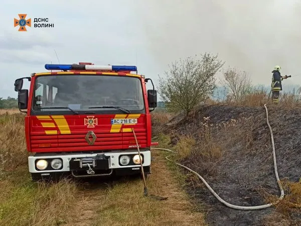 Гасили дві години: на Ківерцівщині через необережність людей загорілася суха трава (фото)