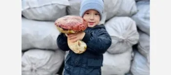 На Волині у жовтні знайшли білого гриба вагою 1,2 кілограма (фото)