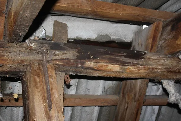 Фото з фейсбук-сторінки депутата Луцькради Богдана Богоноса