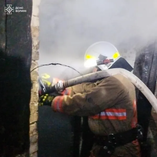 На Волині горів торф'яник, автомобіль та будинок: рятувальники ліквідували три пожежі (фото)