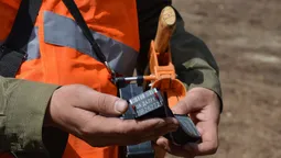 Як на Волині ведуть  електронний облік деревини (фото)