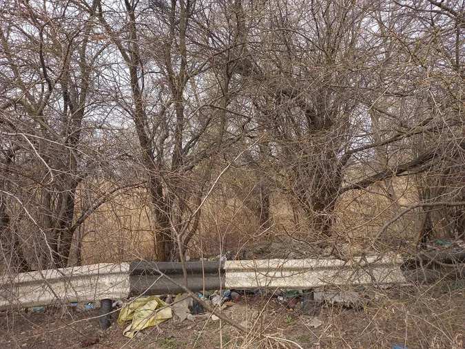 Лучани влаштували сміттєзвалище біля Нового ринку (фото)