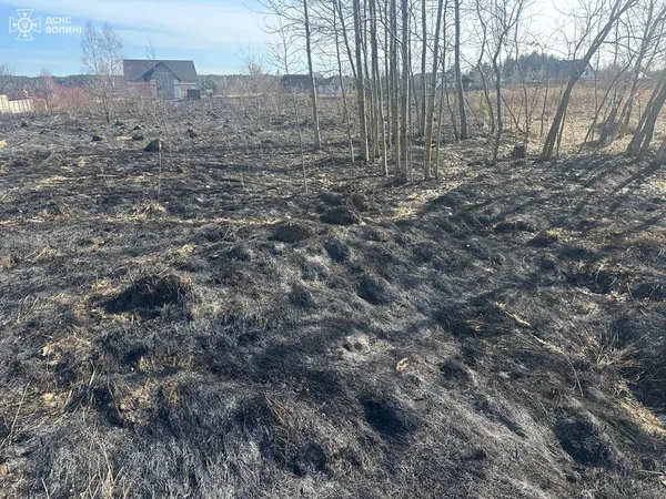 На Волині зловили «господаря» з сірниками: світить чималий штраф (фото)