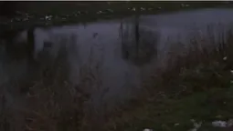 Центральний парк Луцька заполонили «моржі» (фото, відео)