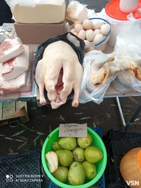 Кури, півні, індики, качки: скільки коштує домашня птиця на ринку в Луцьку (фото)