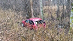 На Волині 58-річна полтавчанка на Mitsubishi злетіла у кювет (фото)