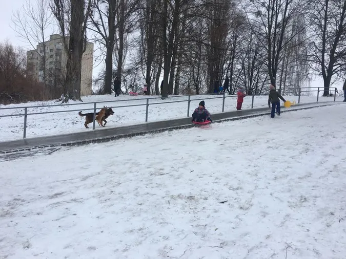 Зимовий парк імені 900-річчя у Луцьку (фото)