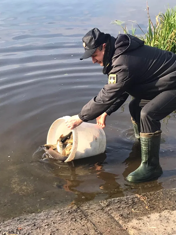 Короп, карась, білий амур: у Ковельське водосховище вселили понад тонну риби (фото, відео)