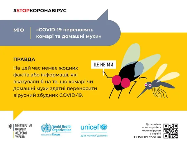 Мухи та комарі не переносять коронавірус, – МОЗ