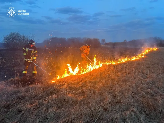 Вогняна доба на Волині: вогонь випалив 19 гектарів землі (фото, відео)