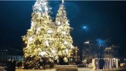 Лучан кличуть на засвічення ялинки (відео)