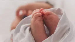 Як волиняни називали своїх дітей у 2022 році (відео)