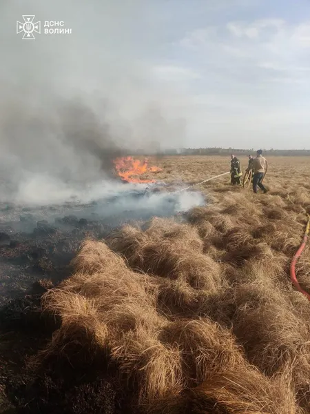 Масштабну пожежу під Шацьком здолали лише наступного дня (фото)