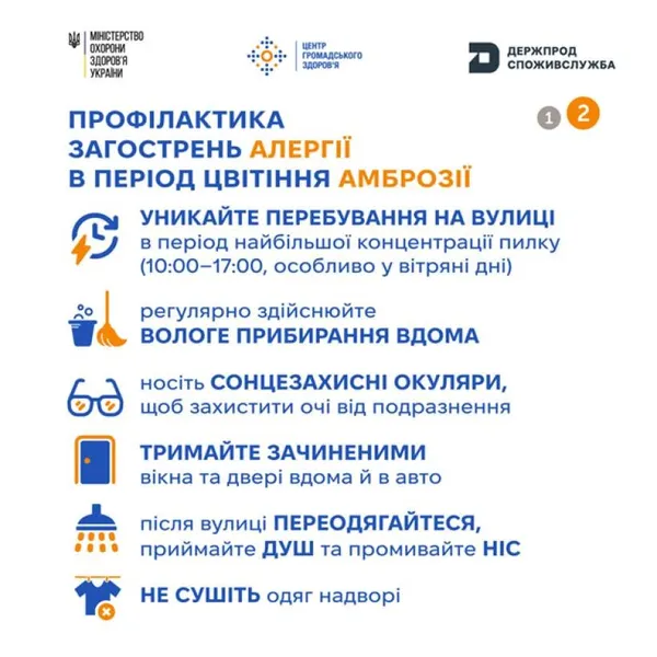 Почався сезон цвітіння амброзії: як уберегтися від одного з найсильніших природних алергенів