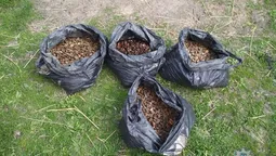На Волині "накрили" підпільні цехи з обробки бурштину (фото)