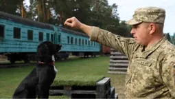 Пройшов гарячі точки, а тепер підкорює кінологію: історія прикордонника з Волині Богдана та Вулі (фото)